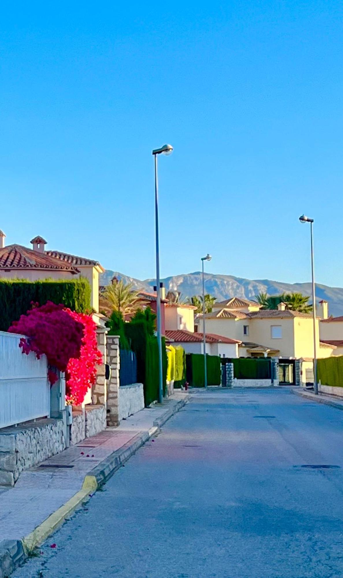 Villa Con Jardin En Oliva Nova Golf A 100M De La Playa Dış mekan fotoğraf